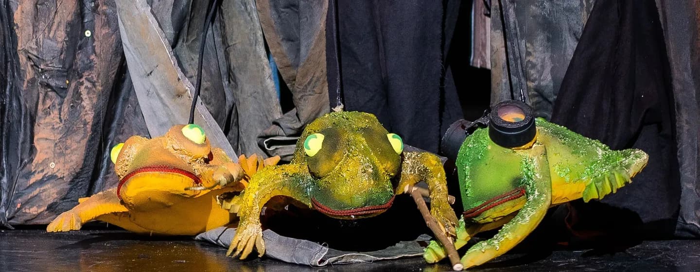 Jankó the Tiny Bean